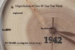 Perfect Gift Idea for His 80th Birthday, Engraved Wood Watch with 80 Annual Tree Rings.  A Ring for Every Year!